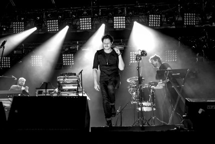 the wombats
